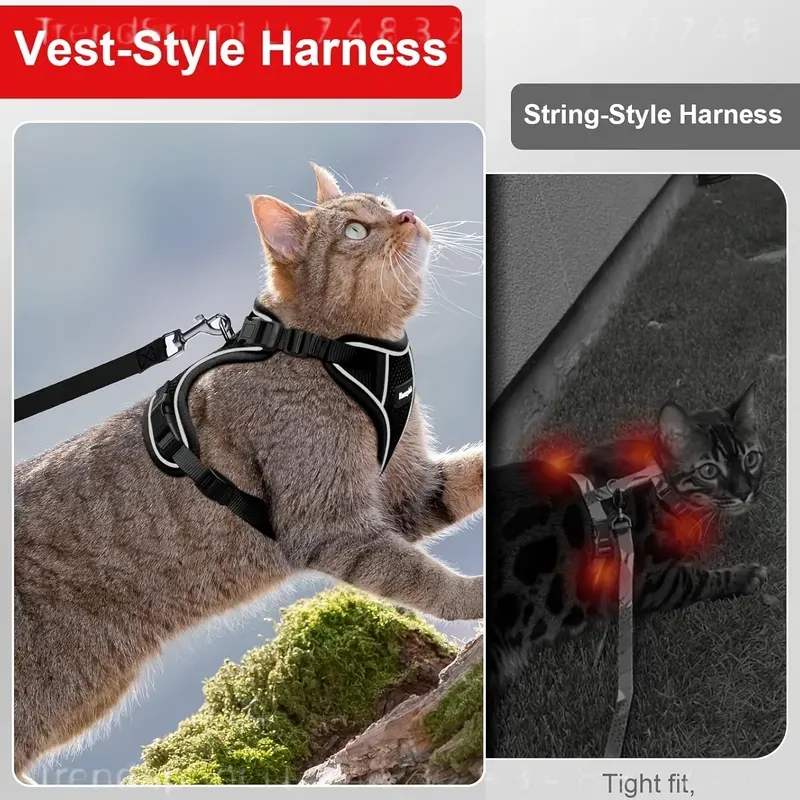 Kedi Göğüs Tasması ve Tasma Se - Outdoor Adventure Wear incelemesi ve fiyatı