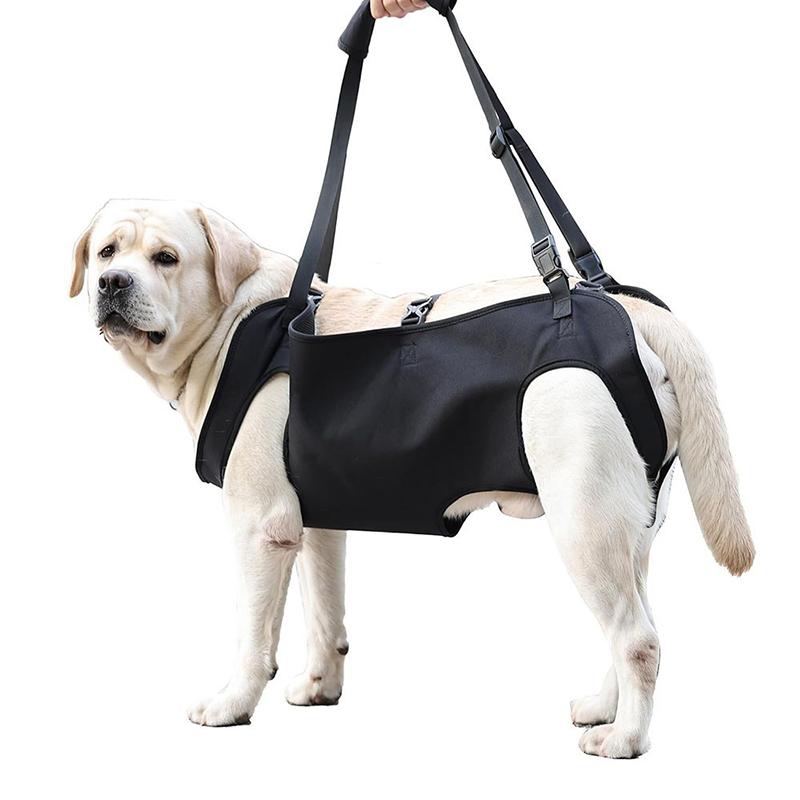 Köpek Merdiven Yardım Tasması  - Harness Climbing Adjustable incelemesi ve fiyatı
