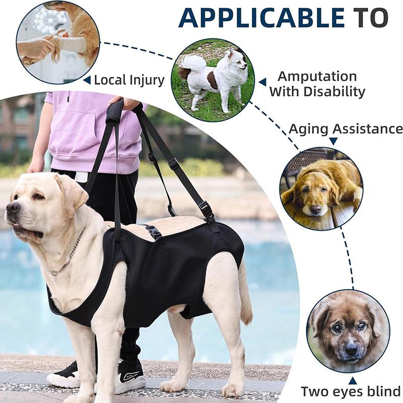 Köpek Merdiven Yardım Tasması  - Harness Climbing Adjustable incelemesi ve fiyatı