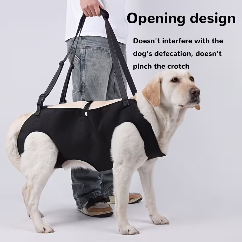 Köpek Merdiven Yardımcı Tasmas - Harness Climbing Adjustable incelemesi ve fiyatı
