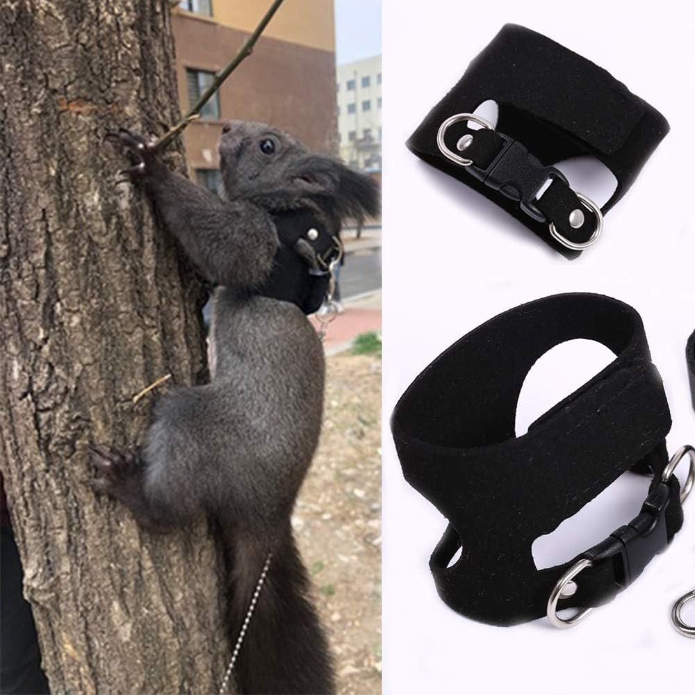 Ayarlanabilir Fare Tasması ve  - Harness Climbing Adjustable incelemesi ve fiyatı