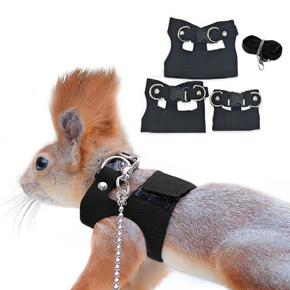 Ayarlanabilir Fare Tasması ve  - Harness Climbing Adjustable incelemesi ve fiyatı